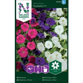 Tarhapetunia Nelson Garden Picobella