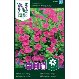 Tarhapetunia Nelson Garden Showers Burgundy