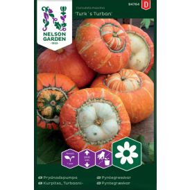 Turbaanikurpitsa Nelson Garden Turks Turban
