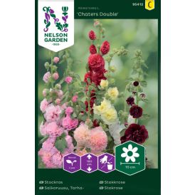 Tarhasalkoruusu Nelson Garden Chaters Double