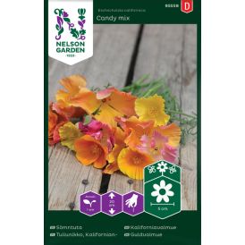 Kaliforniantuliunikko Nelson Garden Candy Mix