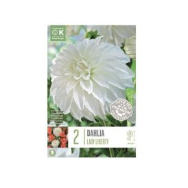 Kevätkukkasipuli Dahlia Decorative Lady Liberty 2 kpl