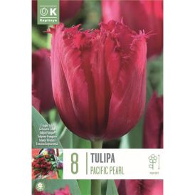 Syyskukkasipuli Tulppaani Pacific Pearl 8 kpl