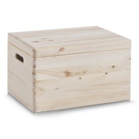Monitoimilaatikko kannella Zeller 40 x 30 x 24 cm