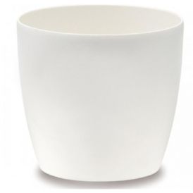 Suojaruukku Elho Brussels Valkoinen 14 cm