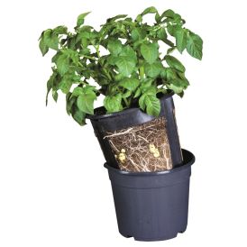 Perunankasvatus ruukku 30 x 27 cm