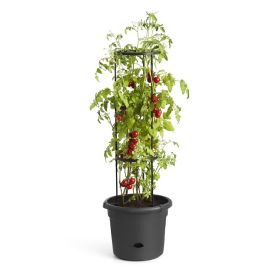 Tomaatinkasvatus ruukku Elho Green Basics 33 cm tuella